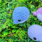 Fuzzy Baby Whale Crochet Plushie [Archived]