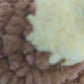 MADE TO ORDER Sea Pancake Stingray Crochet Plushie