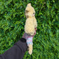 Fluffy Baby Star Dude Crochet Plushie