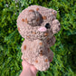 CUSTOM Jumbo Chocolate Chip Cookie Bear Crochet Plushie [Archived]