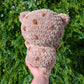 CUSTOM Jumbo Chocolate Chip Cookie Bear Crochet Plushie [Archived]